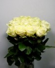 Букет из 15 белых роз.